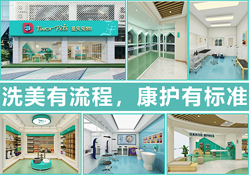 企业微信截图_17416556843323.png