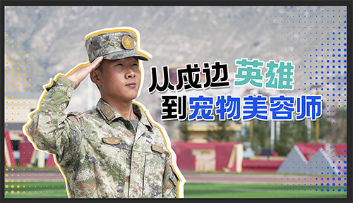 兵哥的铁汉柔情丨从戎边英雄到宠物美容师的温柔逆袭