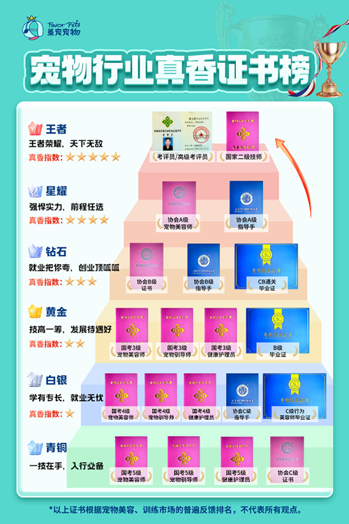 （收藏）宠物美容师证书“真香”段位榜，你修炼到哪一级？