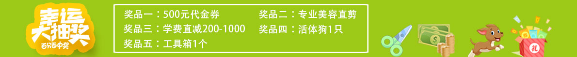 5.1大放假，裸价加盟，直减5000