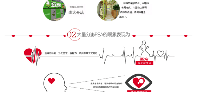 开宠物店前期准备之宠物店装修设计