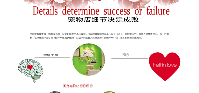 开宠物店前期准备之宠物店装修设计