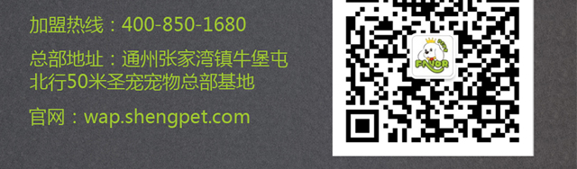 开宠物店前期准备之宠物店装修设计